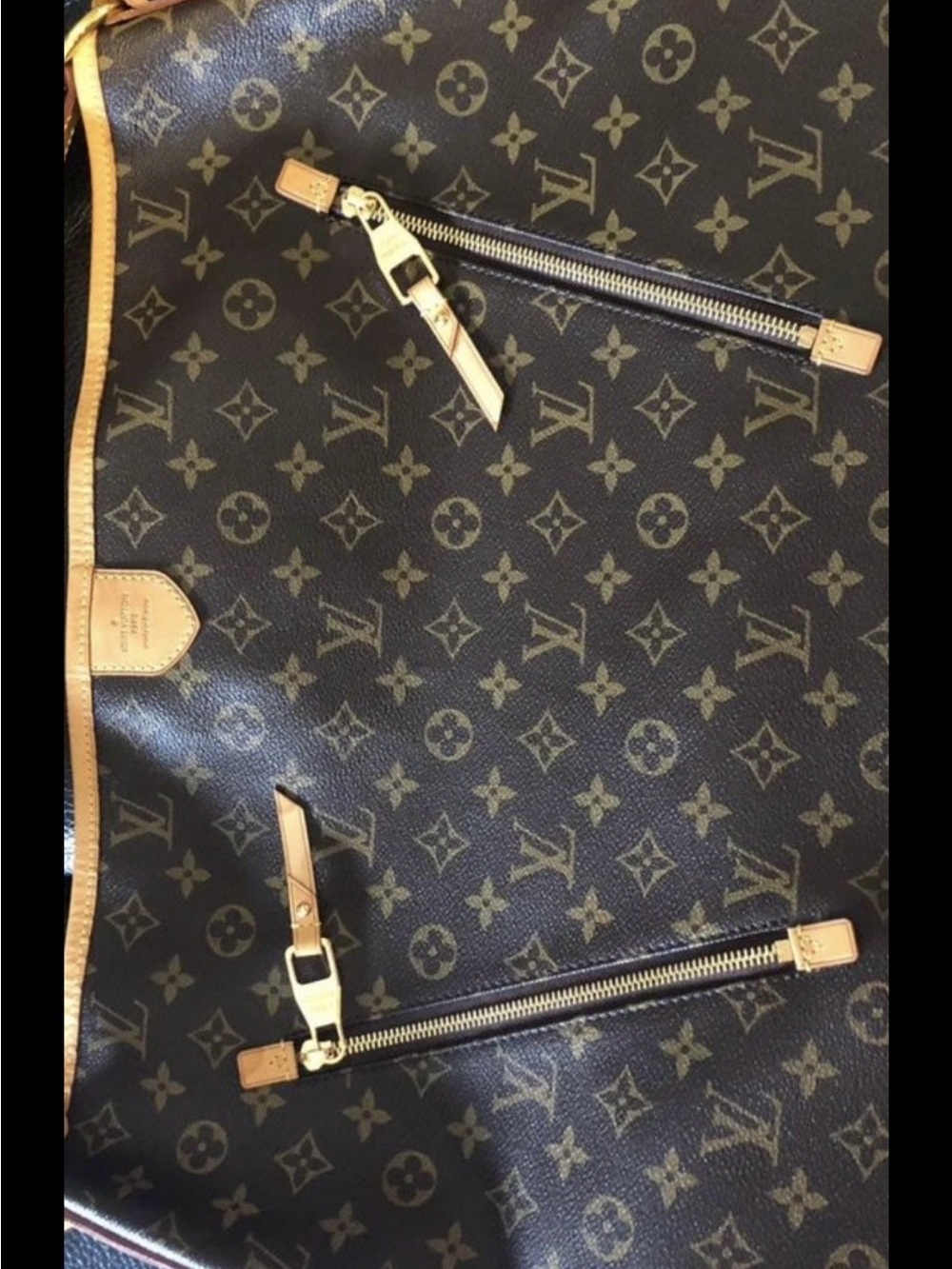 Louis Vuitton Delightful GM Monogram Canvas Travel Tote in Brown with Tan TrI